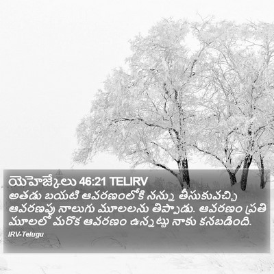 యెహెజ్కేలు 46:21 TELIRV Bible Verse Image