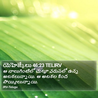 యెహెజ్కేలు 46:23 TELIRV Bible Verse Image