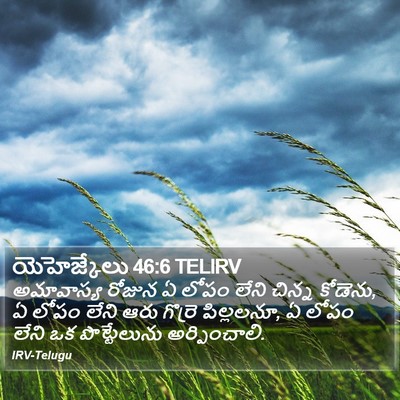 యెహెజ్కేలు 46:6 TELIRV Bible Verse Image