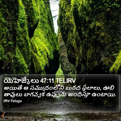యెహెజ్కేలు 47:11 TELIRV Bible Verse Image