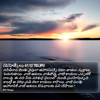యెహెజ్కేలు 47:12 TELIRV Bible Verse Image