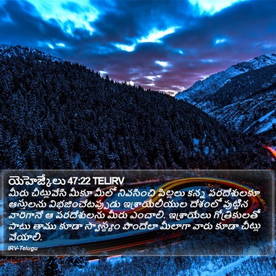 యెహెజ్కేలు 47:22 TELIRV Bible Verse Image