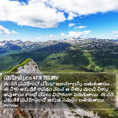 యెహెజ్కేలు 47:9 TELIRV Bible Verse Image
