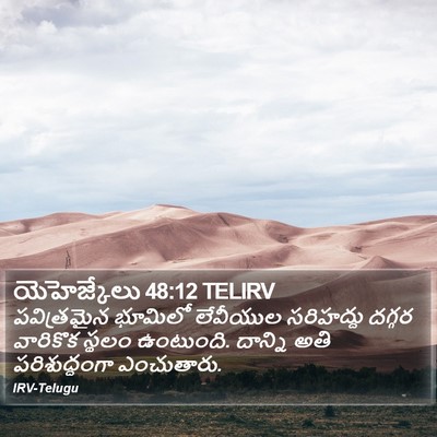 యెహెజ్కేలు 48:12 TELIRV Bible Verse Image