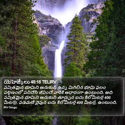 యెహెజ్కేలు 48:18 TELIRV Bible Verse Image