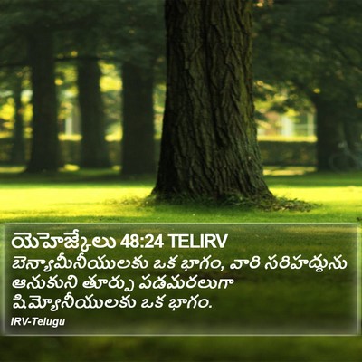 యెహెజ్కేలు 48:24 TELIRV Bible Verse Image
