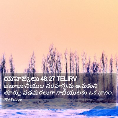 యెహెజ్కేలు 48:27 TELIRV Bible Verse Image