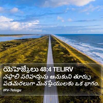 యెహెజ్కేలు 48:4 TELIRV Bible Verse Image