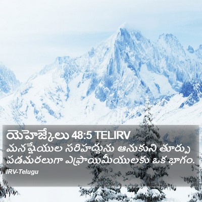 యెహెజ్కేలు 48:5 TELIRV Bible Verse Image