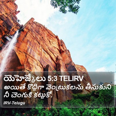 యెహెజ్కేలు 5:3 TELIRV Bible Verse Image