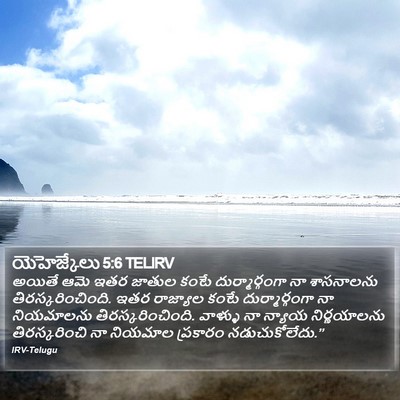 యెహెజ్కేలు 5:6 TELIRV Bible Verse Image