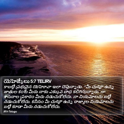 యెహెజ్కేలు 5:7 TELIRV Bible Verse Image