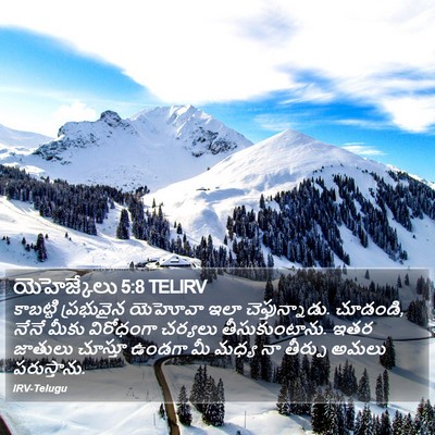 యెహెజ్కేలు 5:8 TELIRV Bible Verse Image