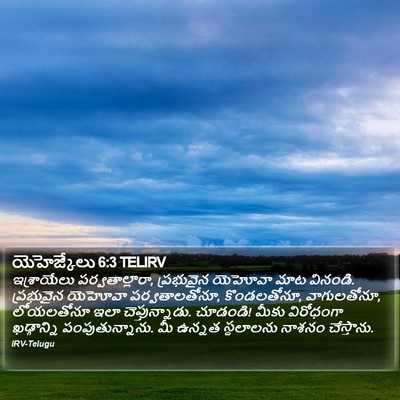 యెహెజ్కేలు 6:3 TELIRV Bible Verse Image