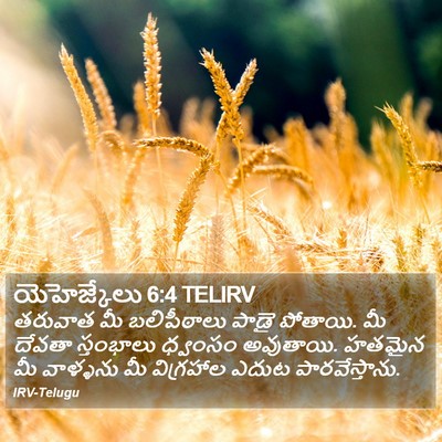 యెహెజ్కేలు 6:4 TELIRV Bible Verse Image