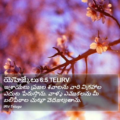 యెహెజ్కేలు 6:5 TELIRV Bible Verse Image