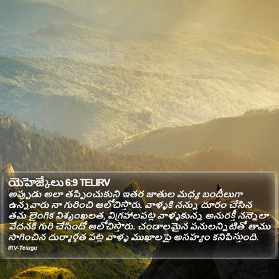 యెహెజ్కేలు 6:9 TELIRV Bible Verse Image