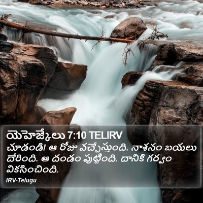 యెహెజ్కేలు 7:10 TELIRV Bible Verse Image
