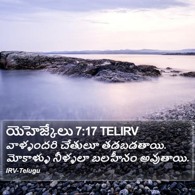 యెహెజ్కేలు 7:17 TELIRV Bible Verse Image