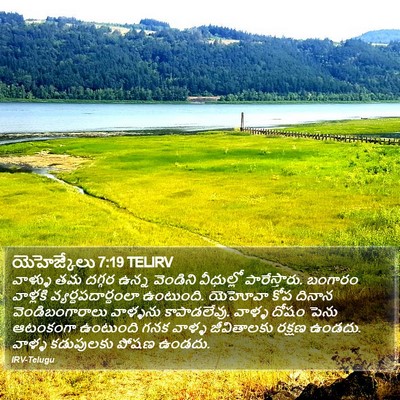 యెహెజ్కేలు 7:19 TELIRV Bible Verse Image
