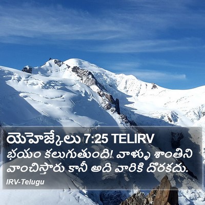 యెహెజ్కేలు 7:25 TELIRV Bible Verse Image