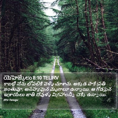 యెహెజ్కేలు 8:10 TELIRV Bible Verse Image