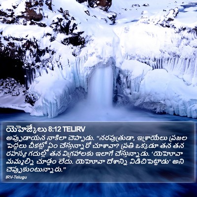 యెహెజ్కేలు 8:12 TELIRV Bible Verse Image