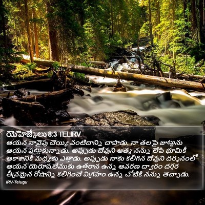 యెహెజ్కేలు 8:3 TELIRV Bible Verse Image