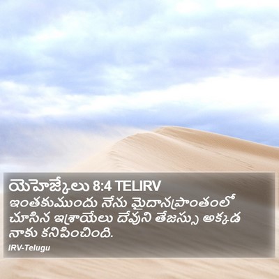 యెహెజ్కేలు 8:4 TELIRV Bible Verse Image