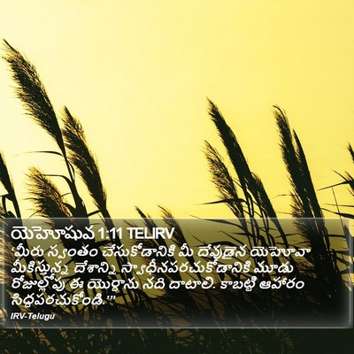 యెహోషువ 1:11 TELIRV Bible Verse Image