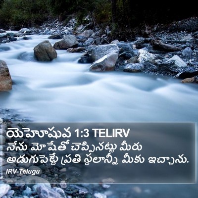 యెహోషువ 1:3 TELIRV Bible Verse Image