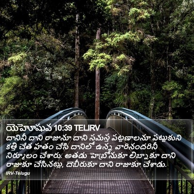 యెహోషువ 10:39 TELIRV Bible Verse Image