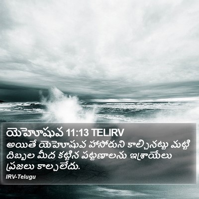 యెహోషువ 11:13 TELIRV Bible Verse Image