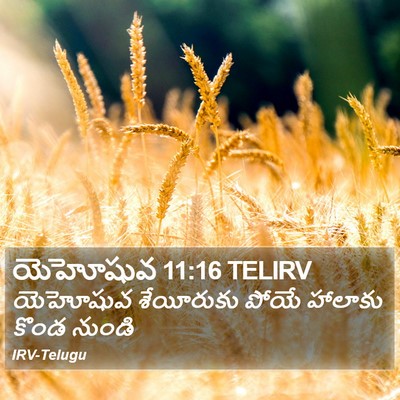 యెహోషువ 11:16 TELIRV Bible Verse Image