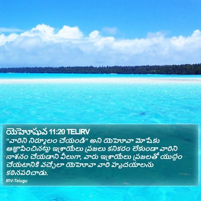 యెహోషువ 11:20 TELIRV Bible Verse Image