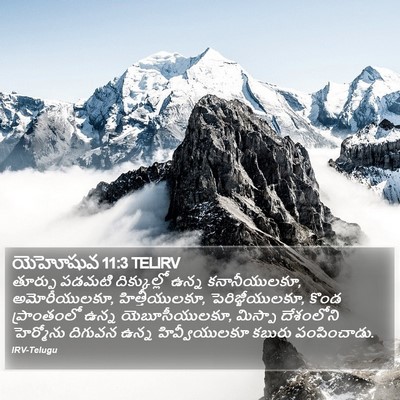 యెహోషువ 11:3 TELIRV Bible Verse Image