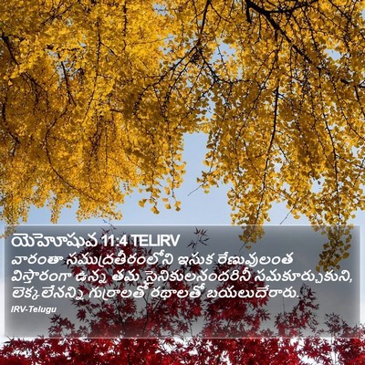 యెహోషువ 11:4 TELIRV Bible Verse Image