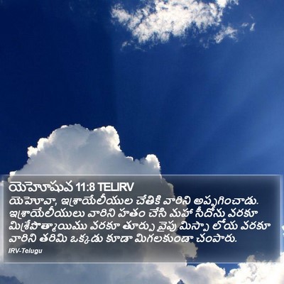 యెహోషువ 11:8 TELIRV Bible Verse Image