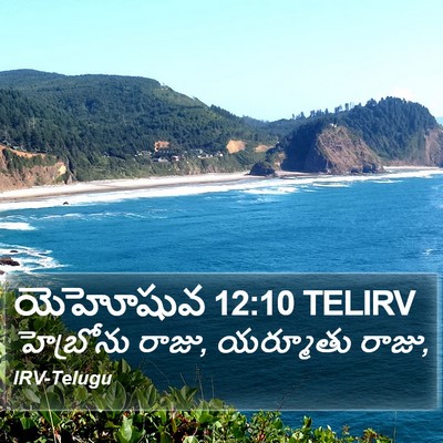 యెహోషువ 12:10 TELIRV Bible Verse Image
