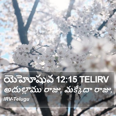 యెహోషువ 12:15 TELIRV Bible Verse Image