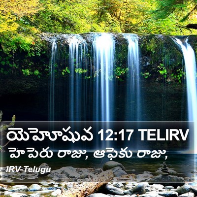 యెహోషువ 12:17 TELIRV Bible Verse Image
