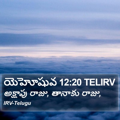 యెహోషువ 12:20 TELIRV Bible Verse Image