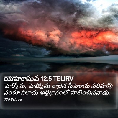 యెహోషువ 12:5 TELIRV Bible Verse Image