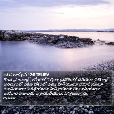 యెహోషువ 12:8 TELIRV Bible Verse Image