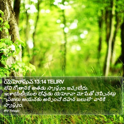 యెహోషువ 13:14 TELIRV Bible Verse Image