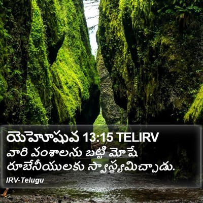 యెహోషువ 13:15 TELIRV Bible Verse Image