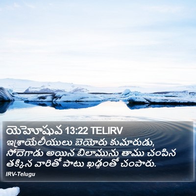 యెహోషువ 13:22 TELIRV Bible Verse Image