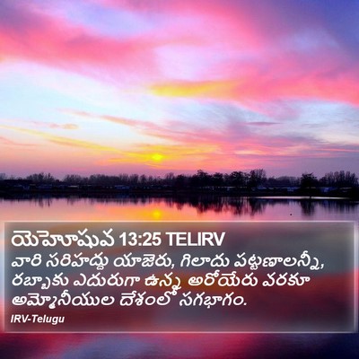 యెహోషువ 13:25 TELIRV Bible Verse Image