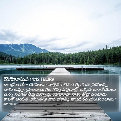 యెహోషువ 14:12 TELIRV Bible Verse Image