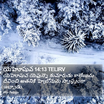 యెహోషువ 14:13 TELIRV Bible Verse Image